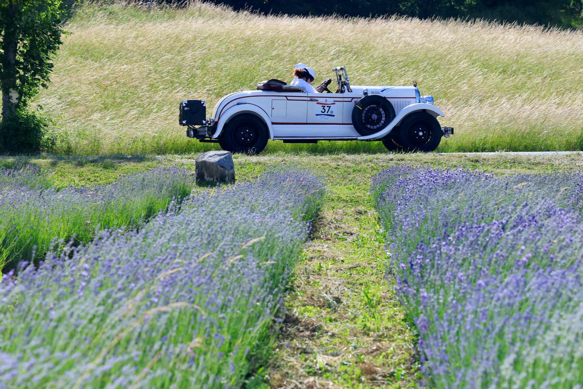 1000 miglia 2026 48