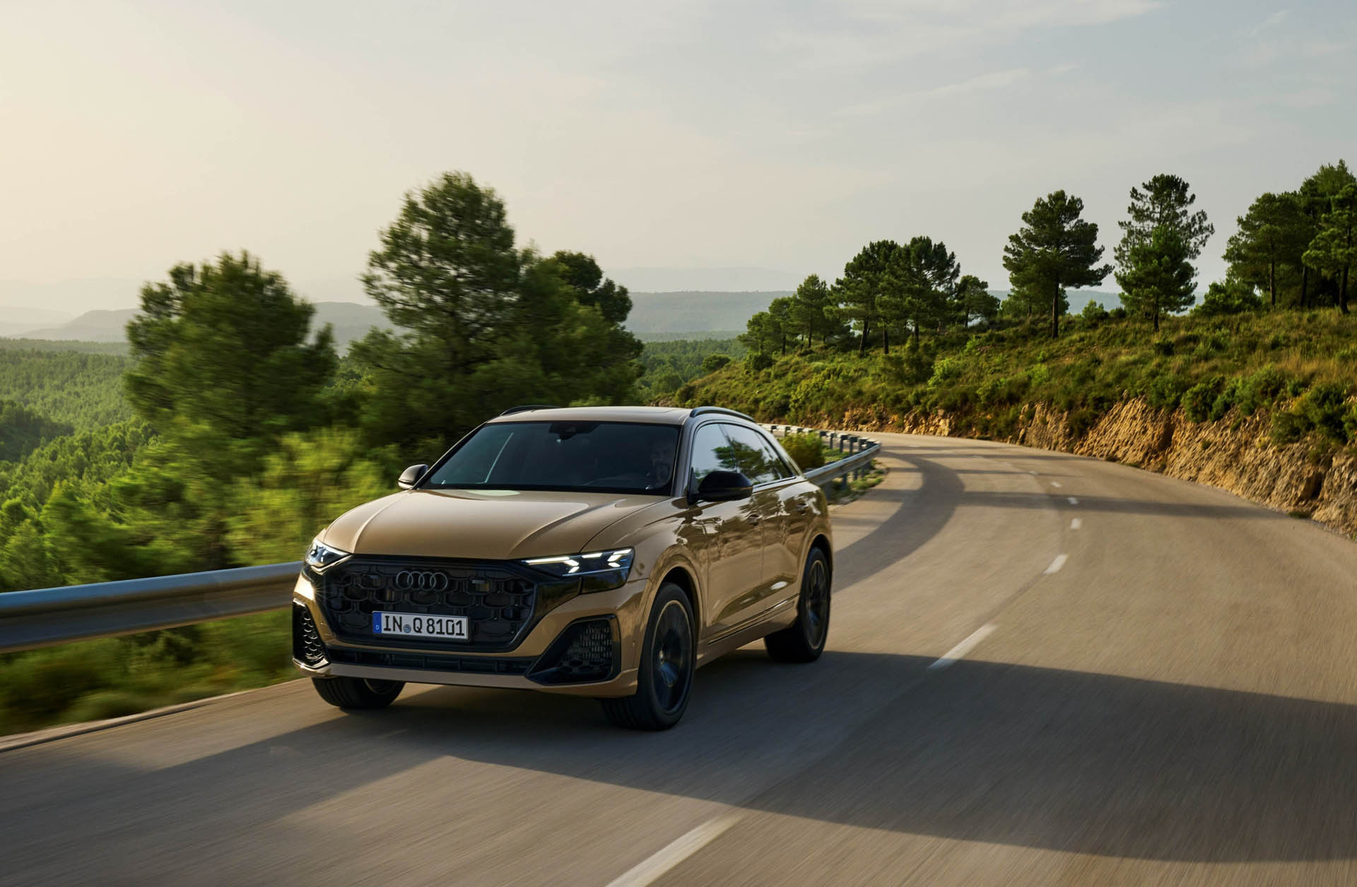 Audi Q8 2023 26