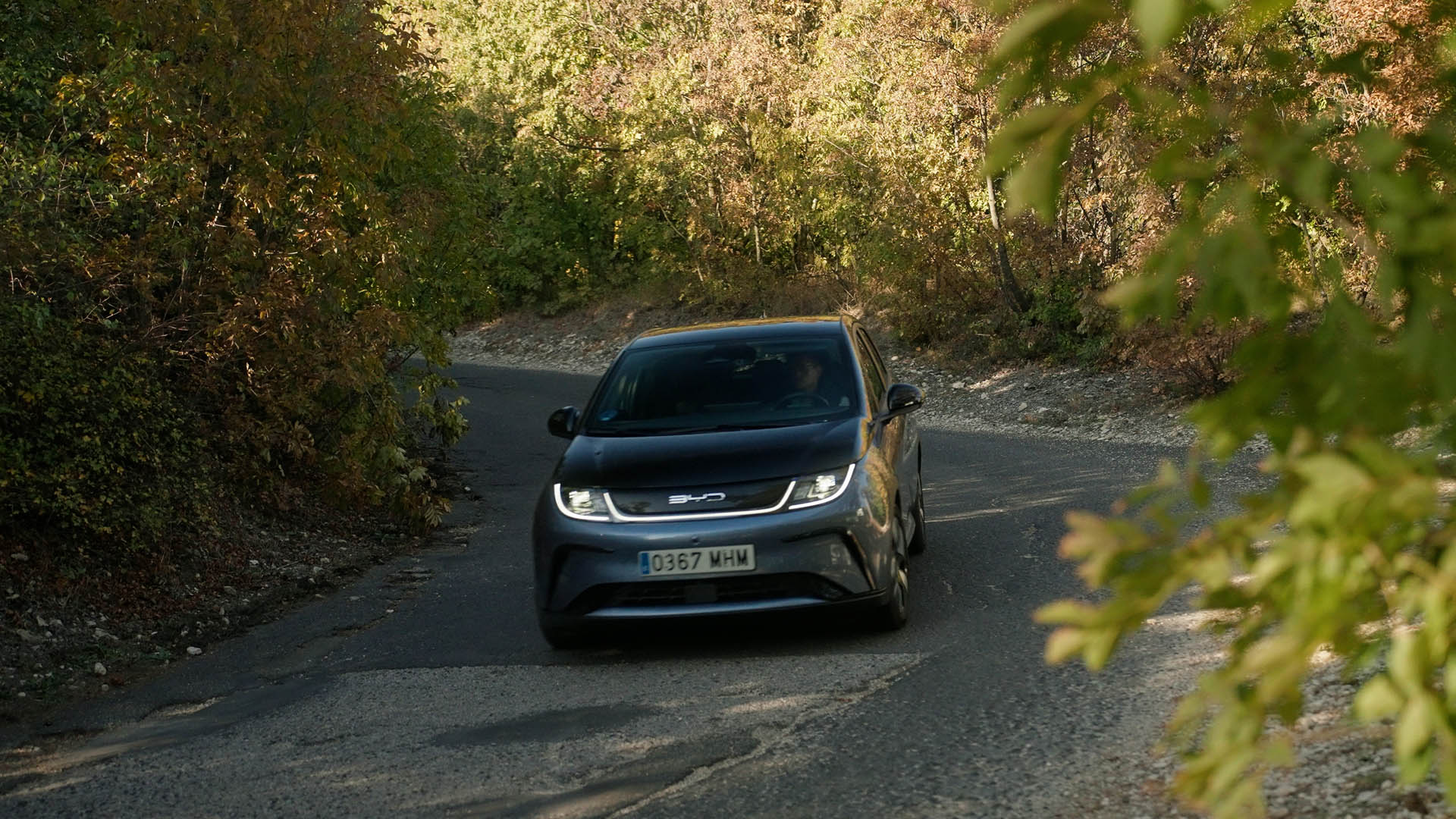 BYD DOLPHIN 2