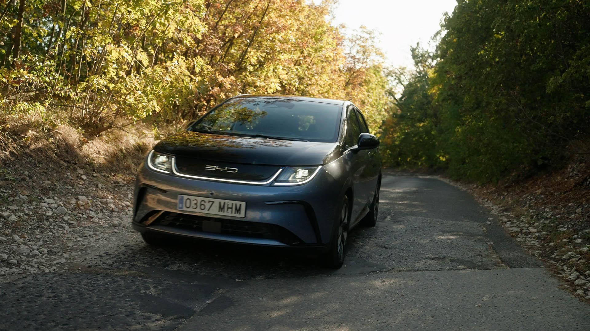 BYD DOLPHIN 3