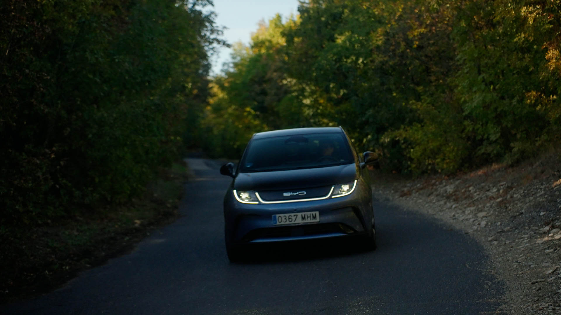 BYD DOLPHIN 4