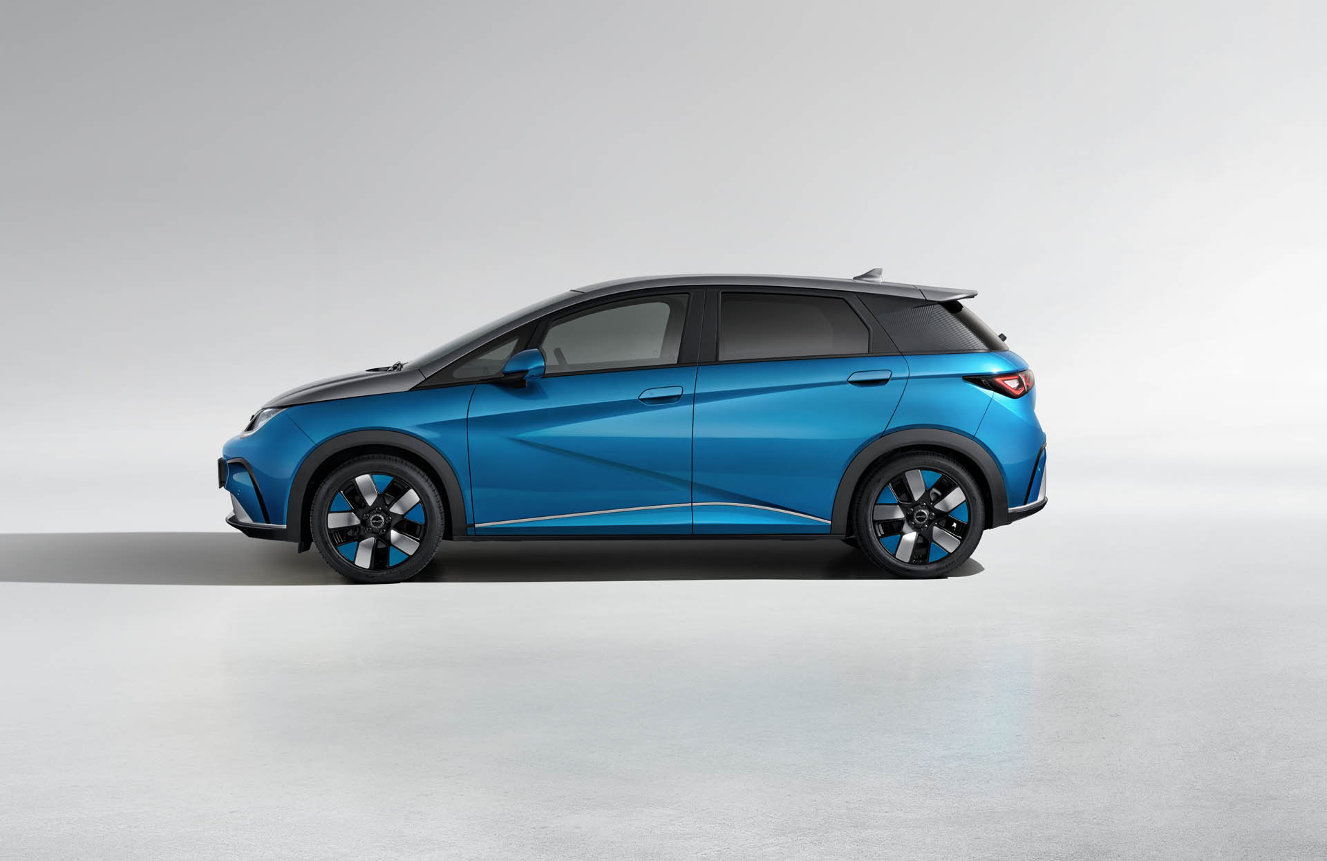 byd dolphin 12