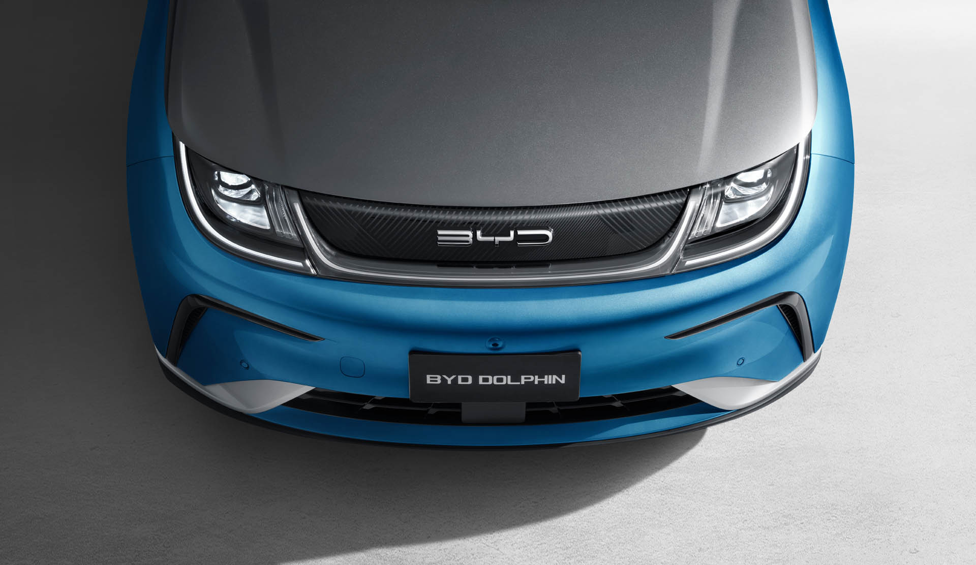 byd dolphin 13