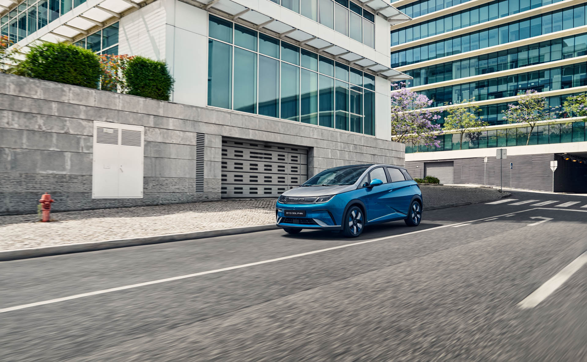 byd dolphin