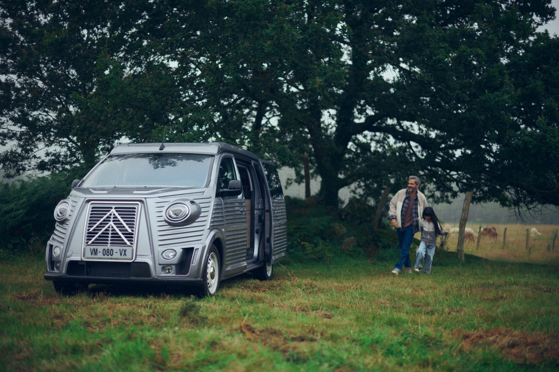 Citroen Type Holidays 14