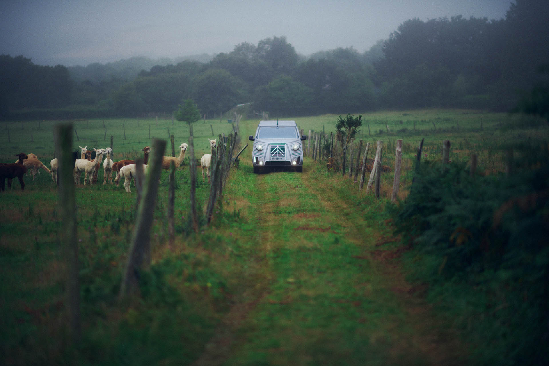 Citroen Type Holidays 15