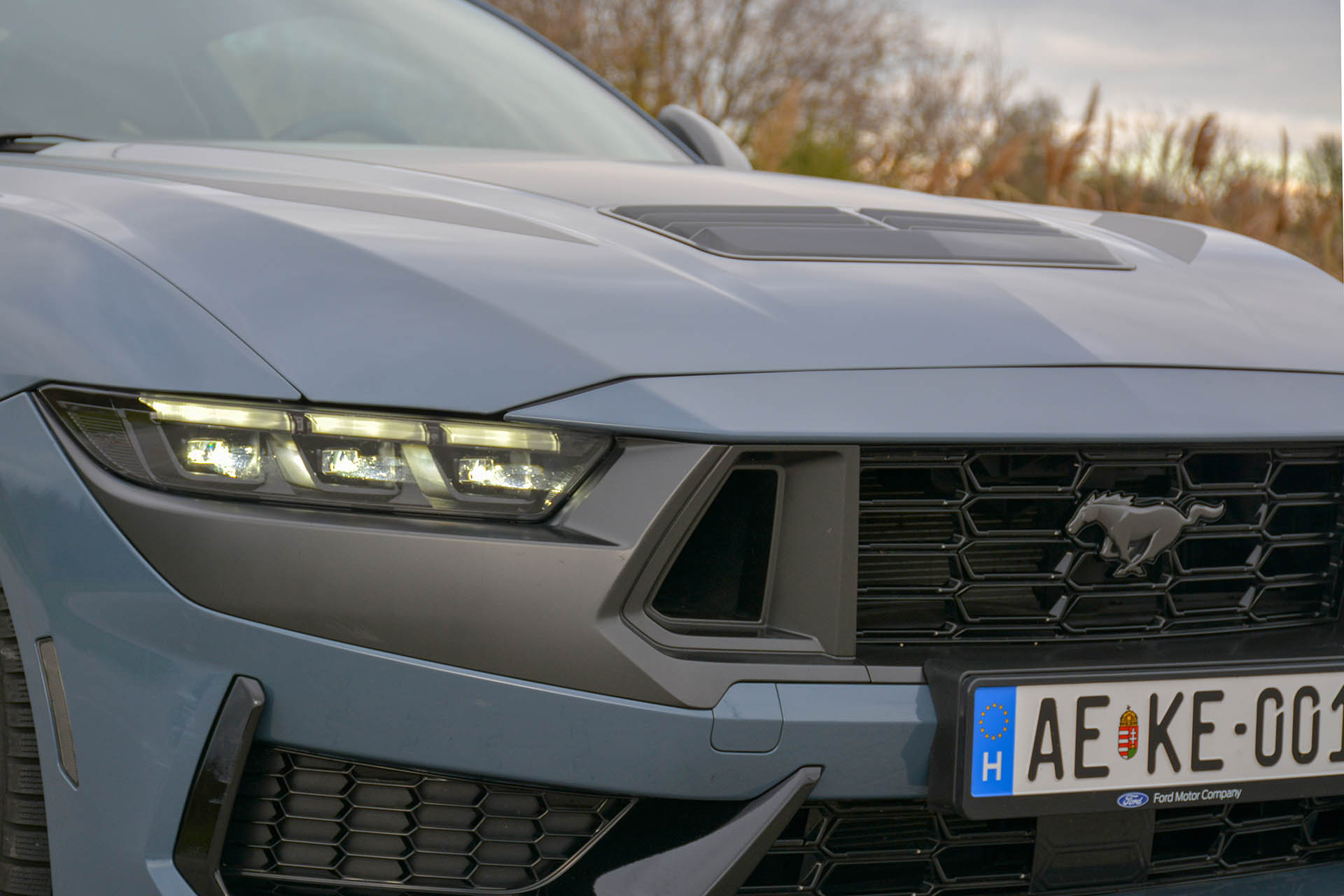 Fors Mustang Dark Horse 2024 21