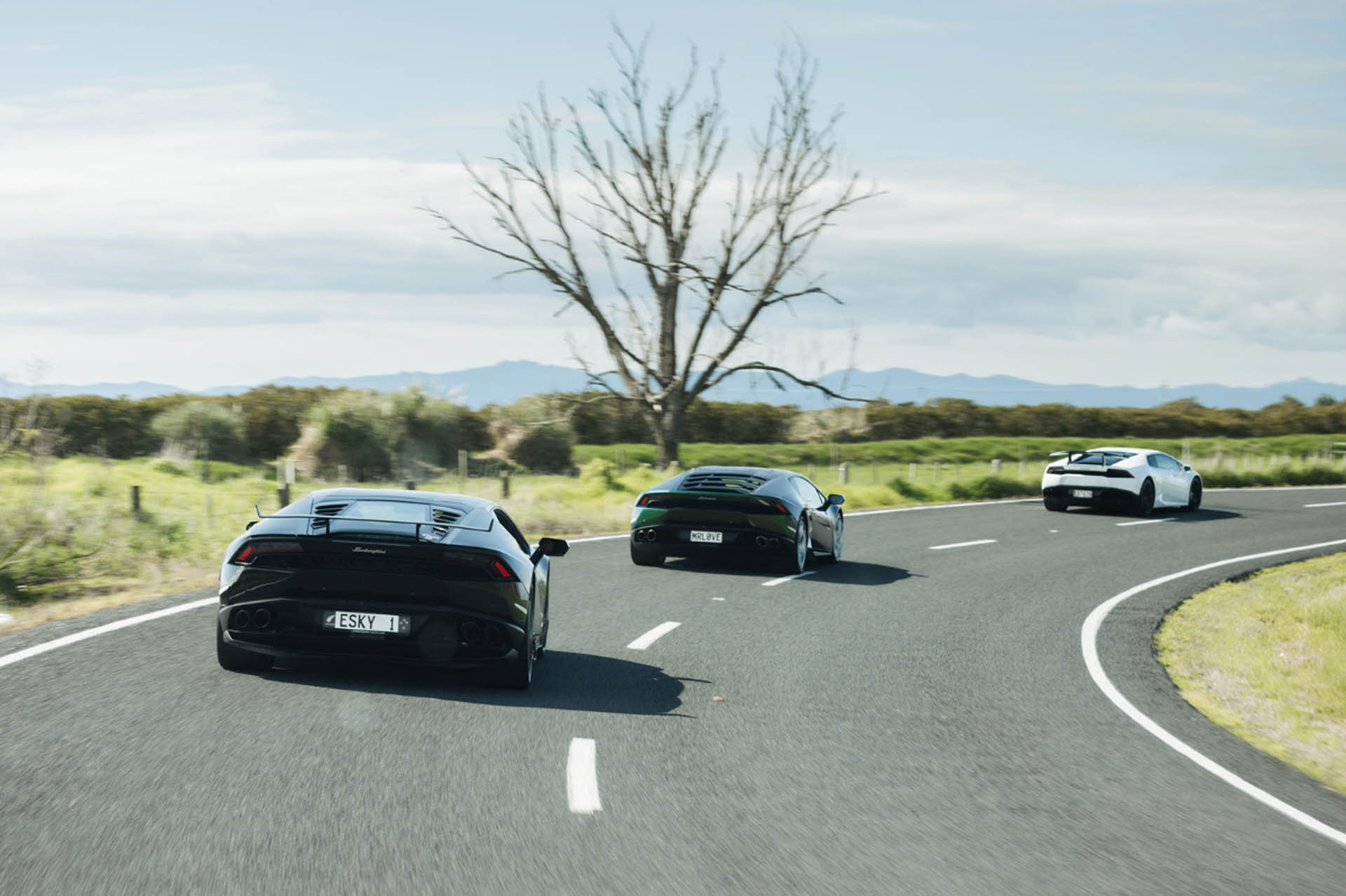lamborghinitura