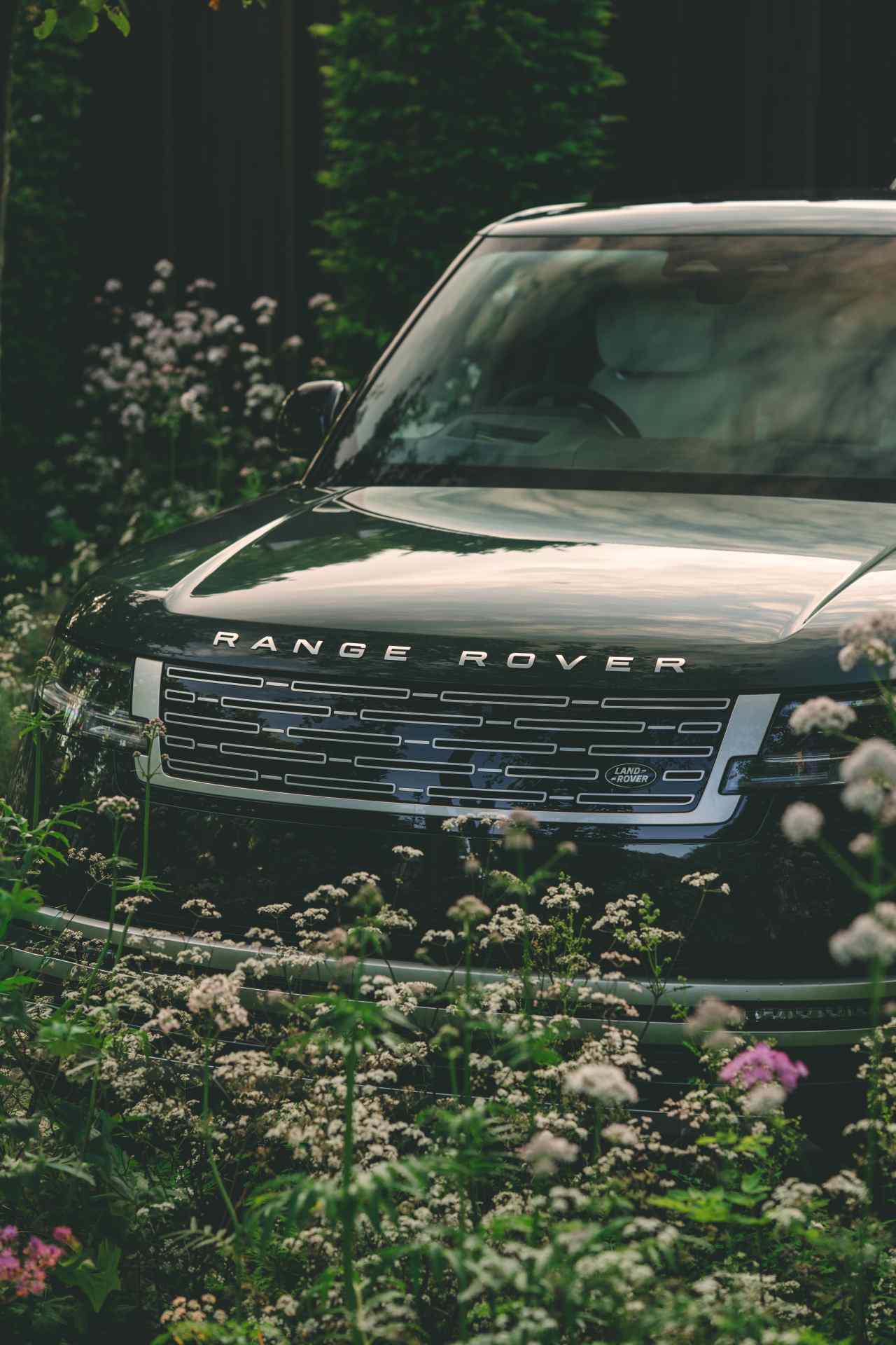 RR Cloister RHS Chelsea May 2026-11