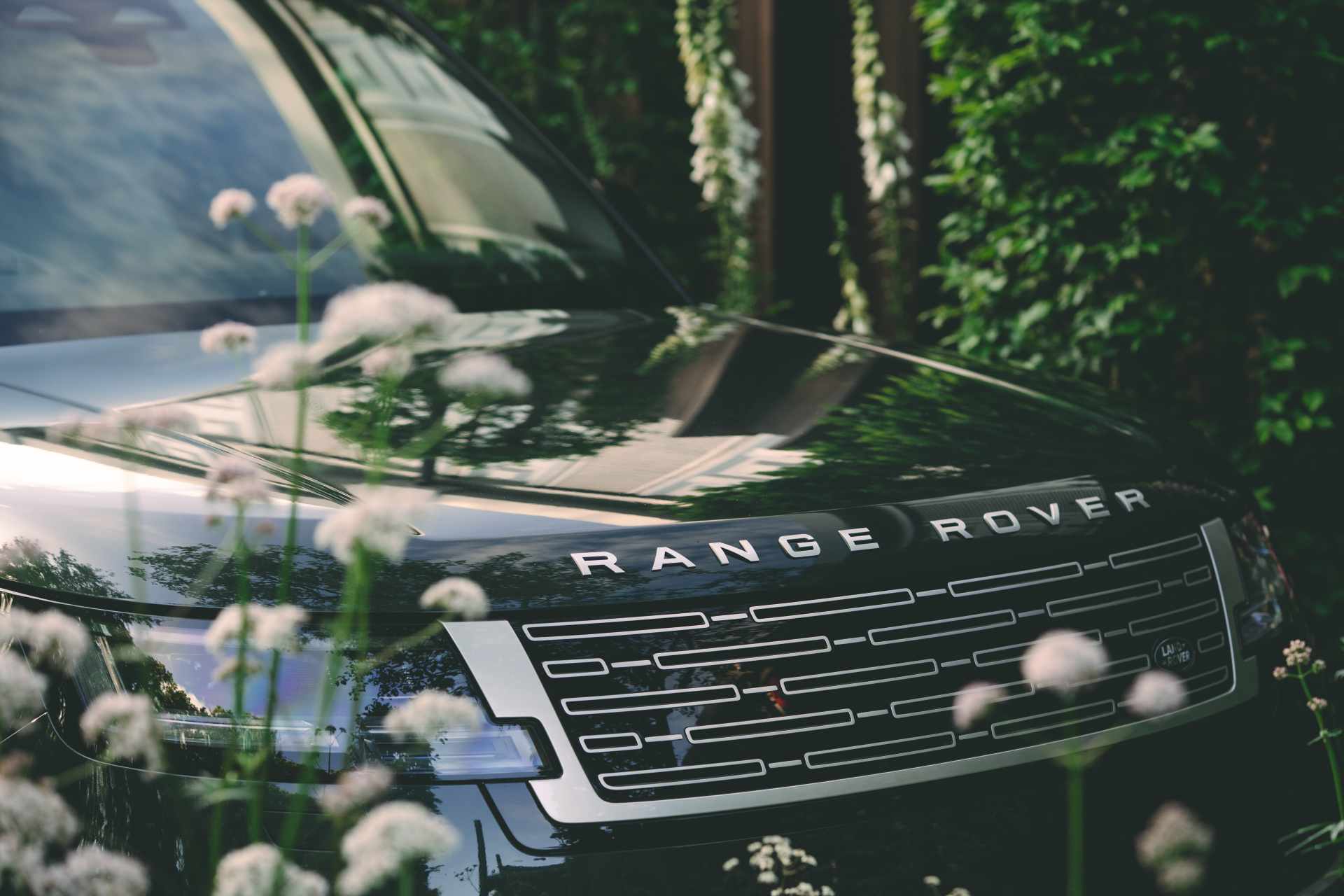 RR Cloister RHS Chelsea May 2026-17