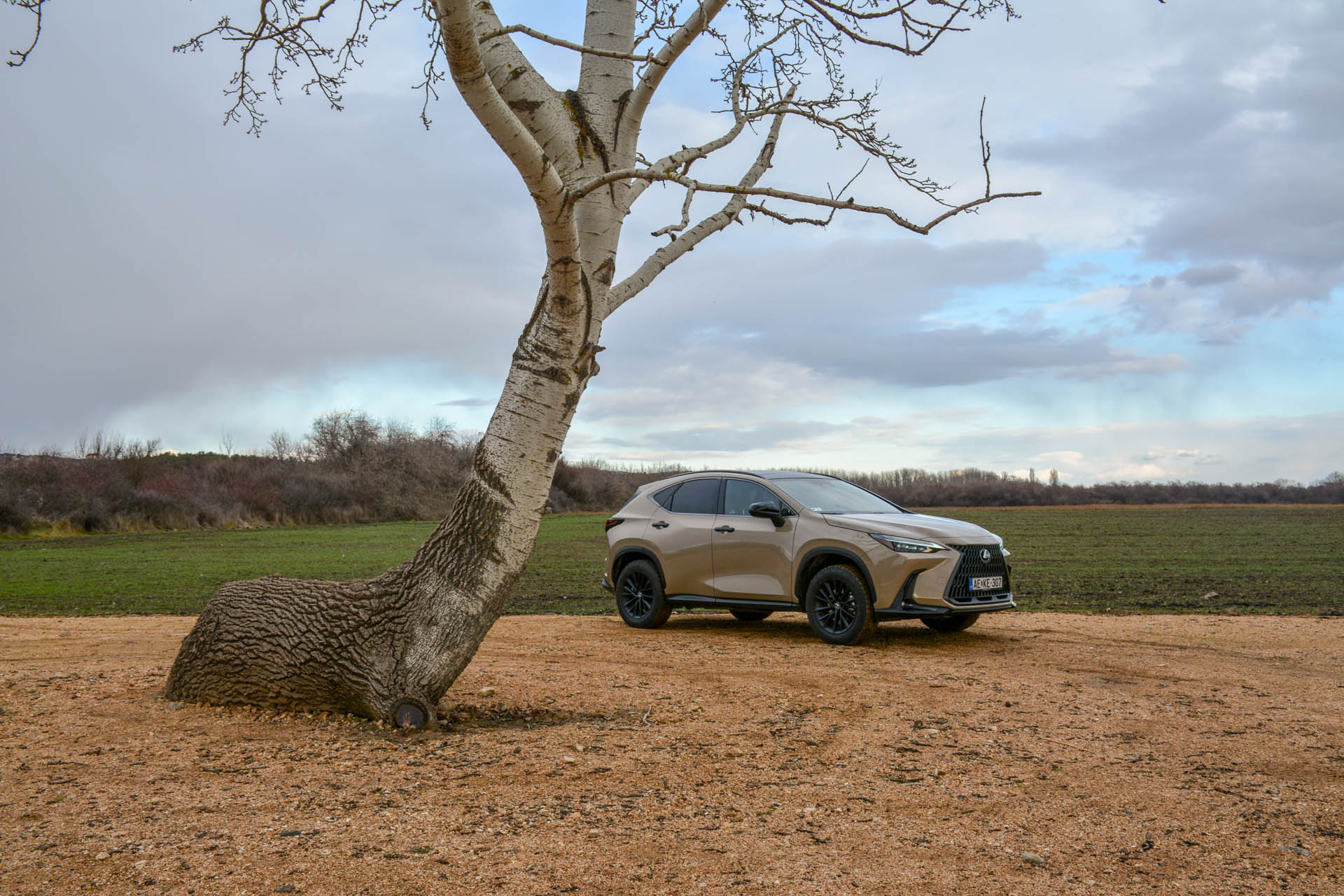 Lexus NX 350h Overtail 15