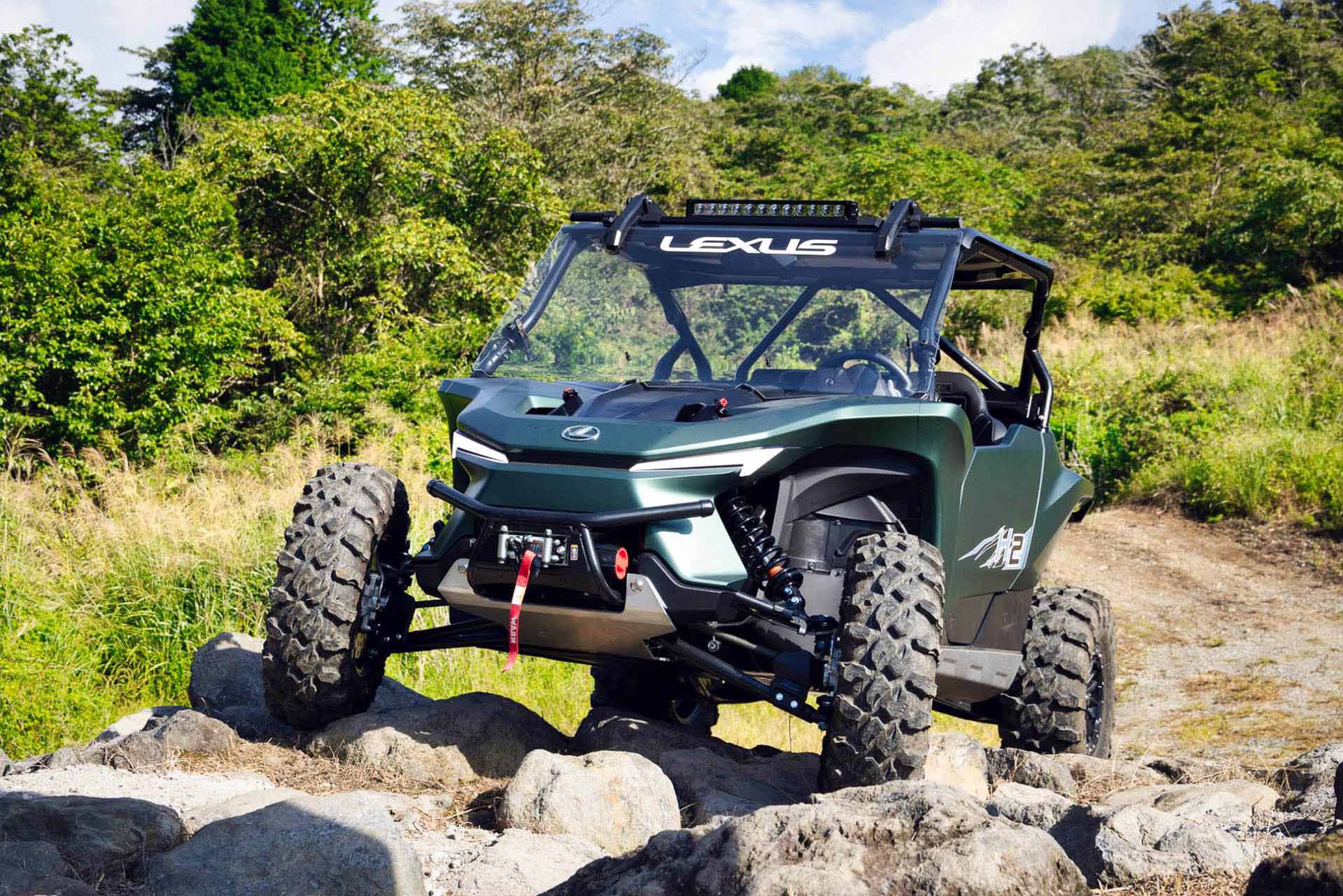 rov 8