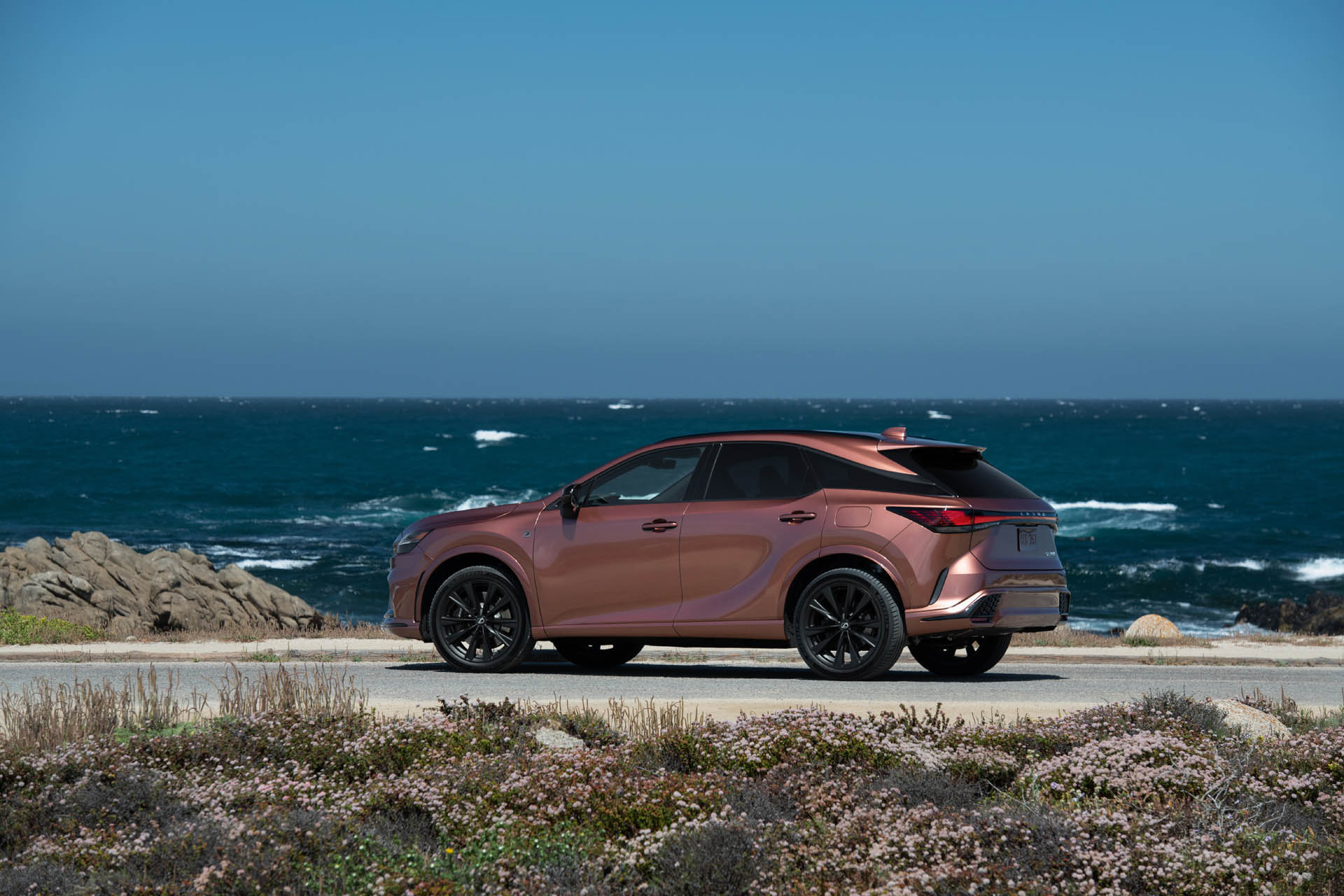 lexuxrx500hfsport