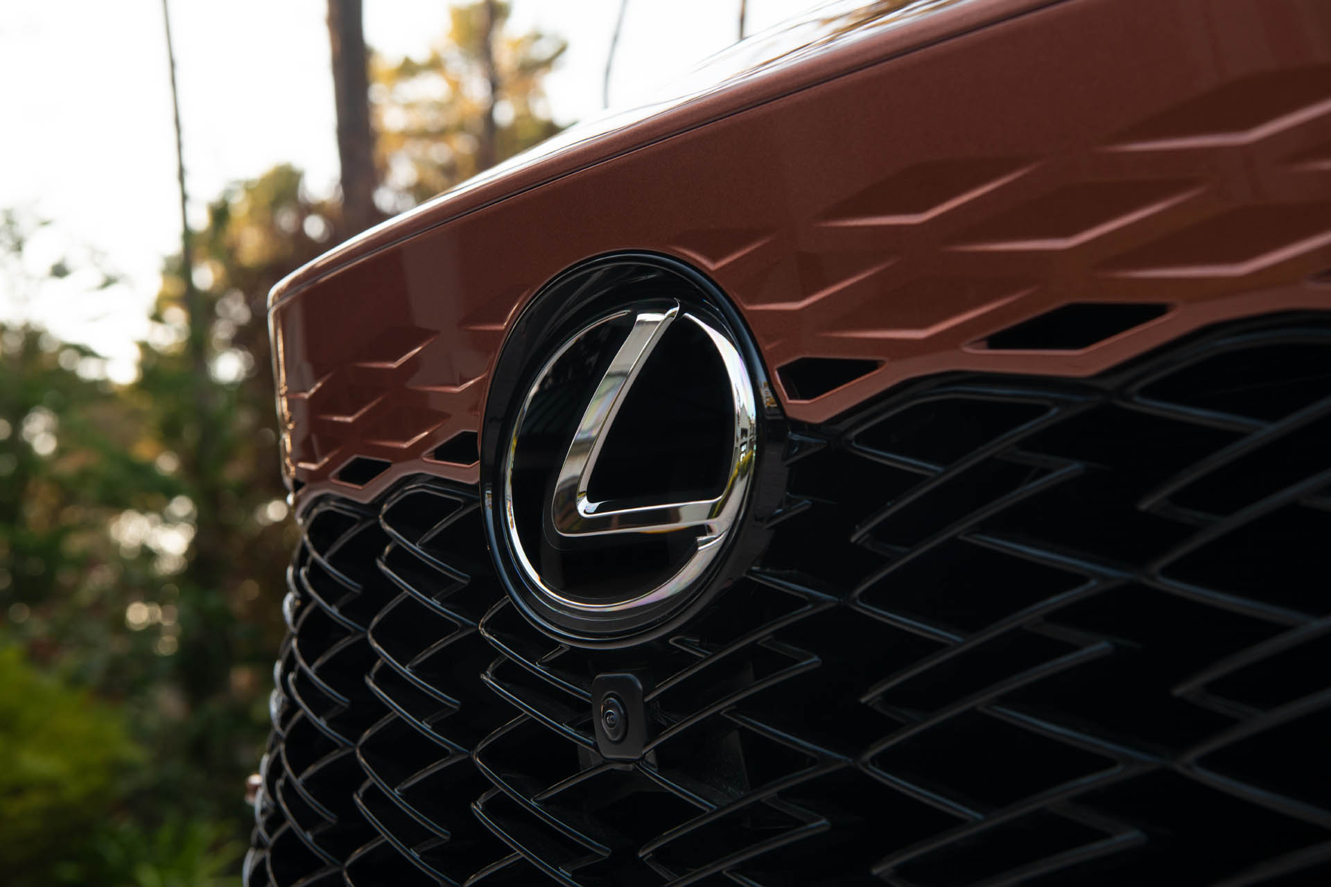 lexuxrx500hfsport03