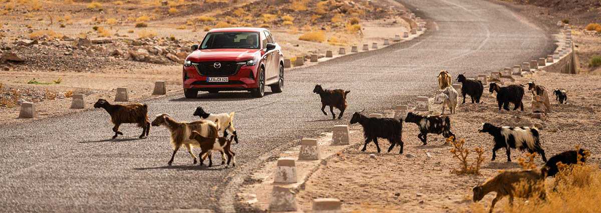 mazda cx-60 epic drive morocco 2024 nyito
