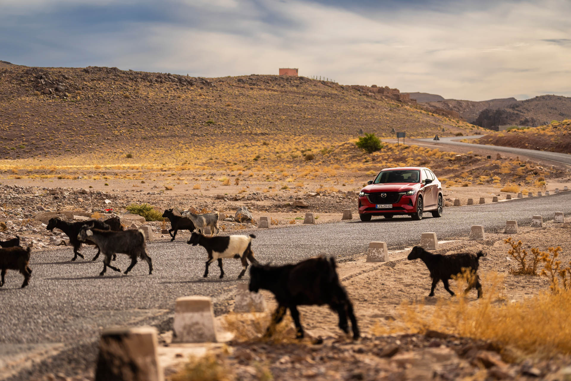 mazda cx-60 epic drive morocco 2024 act 089 highres