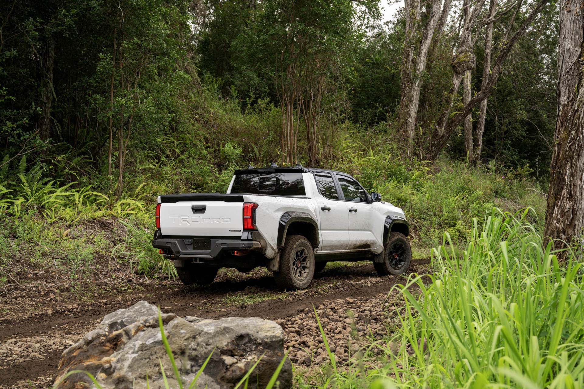 Toyota Tacoma TRD 2024 19
