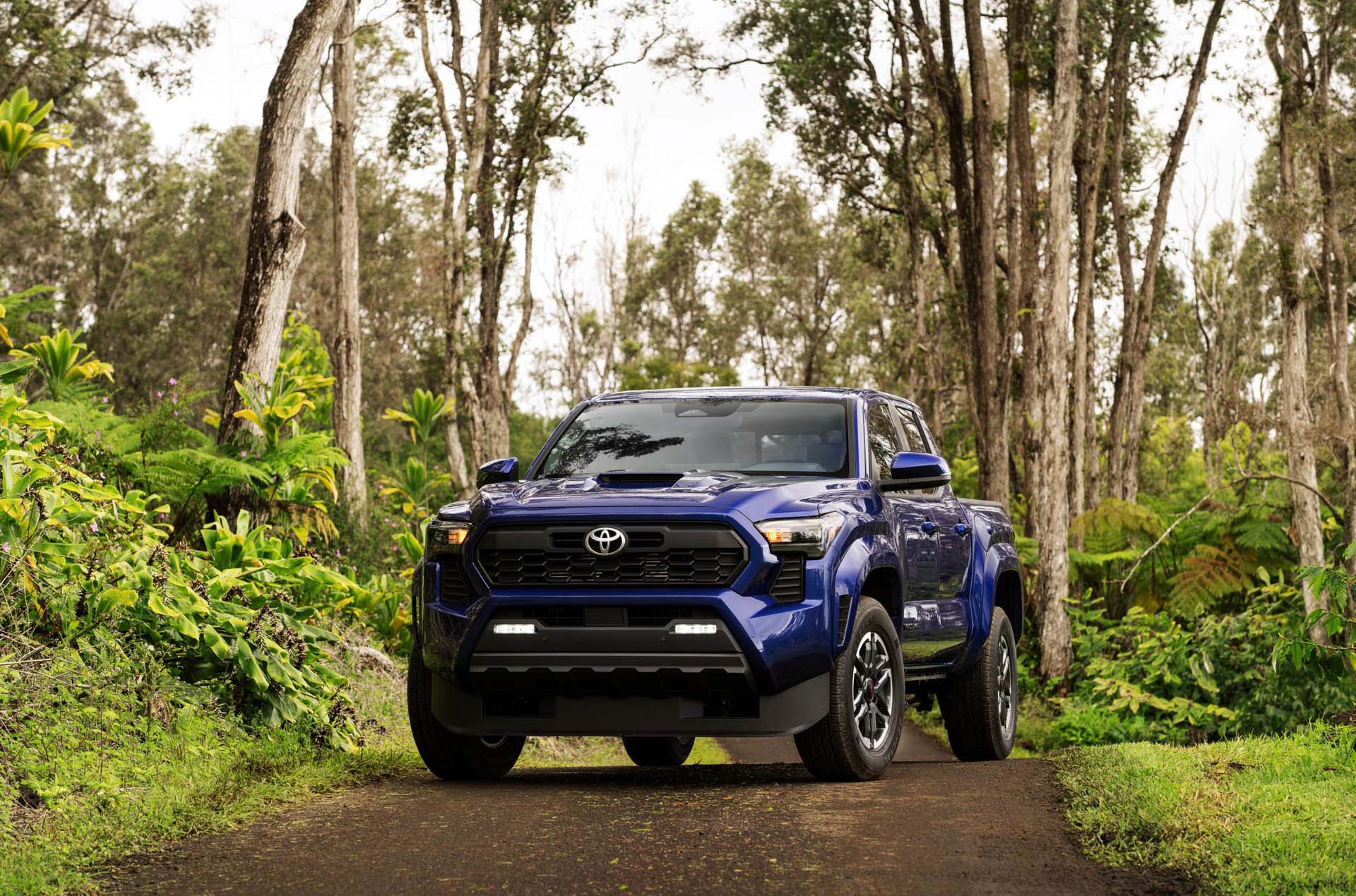 Toyota Tacoma TRD 2024 30