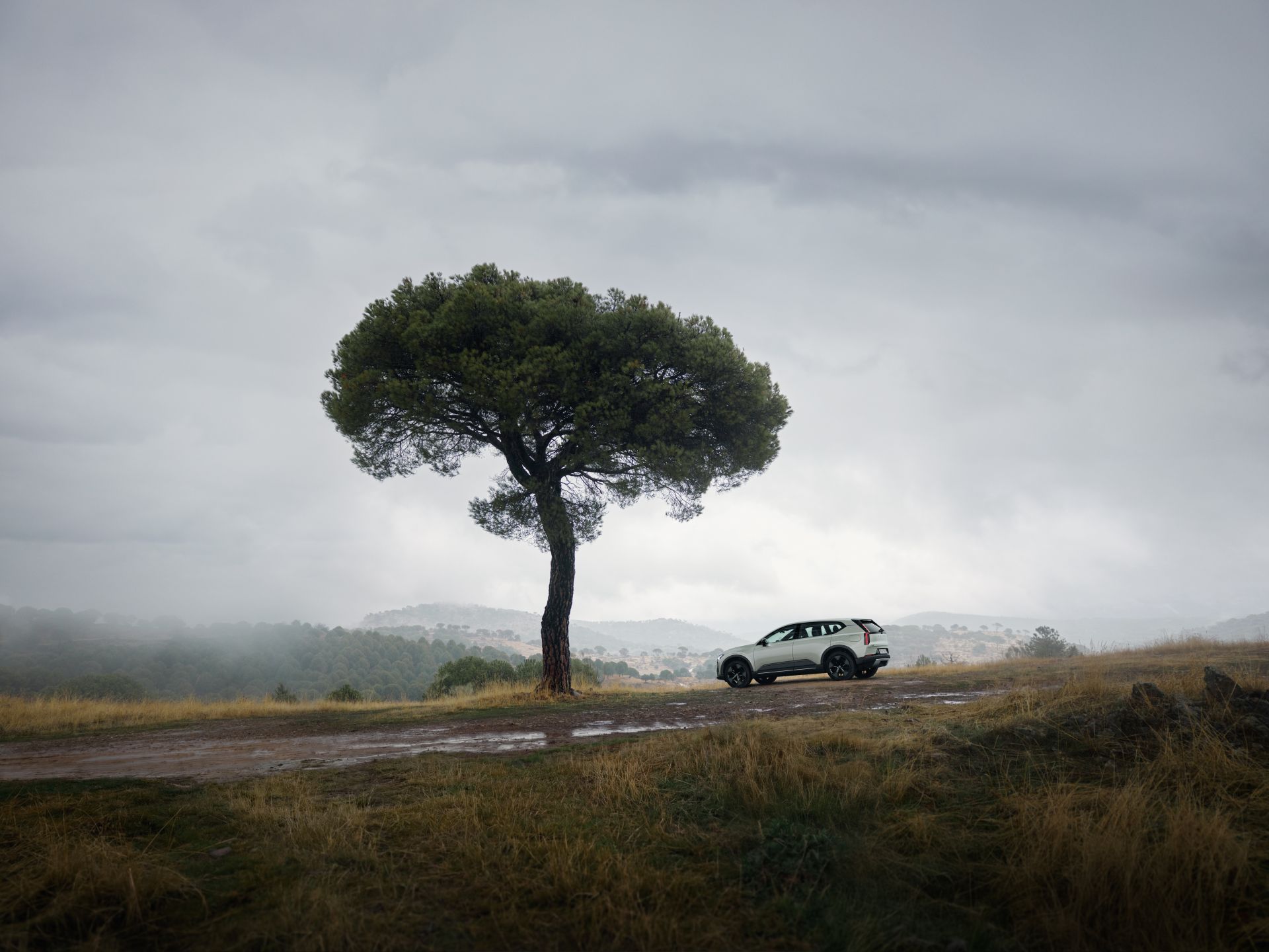 Volvo EX60 04